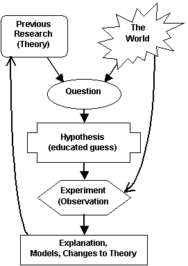 Theory->Hypothesis->Observation->Theory...